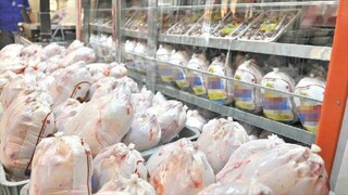 فروش مرغ به نرخ بالاتر از ۲۰۴ هزار ریال گرانفروشی است