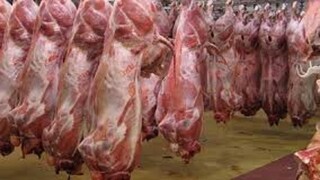 خراسان رضوی رتبه نخست تولید گوشت قرمز را در کشور کسب کرد
