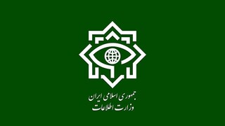 ضربه وزارت اطلاعات به عوامل یک فرقه انحرافی