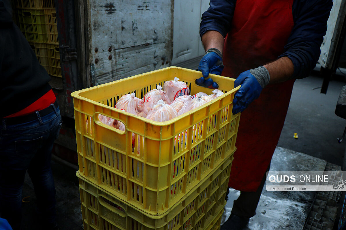 فروش عمده مرغ گرم در واحدهای صنفی خراسان جنوبی ممنوع است
