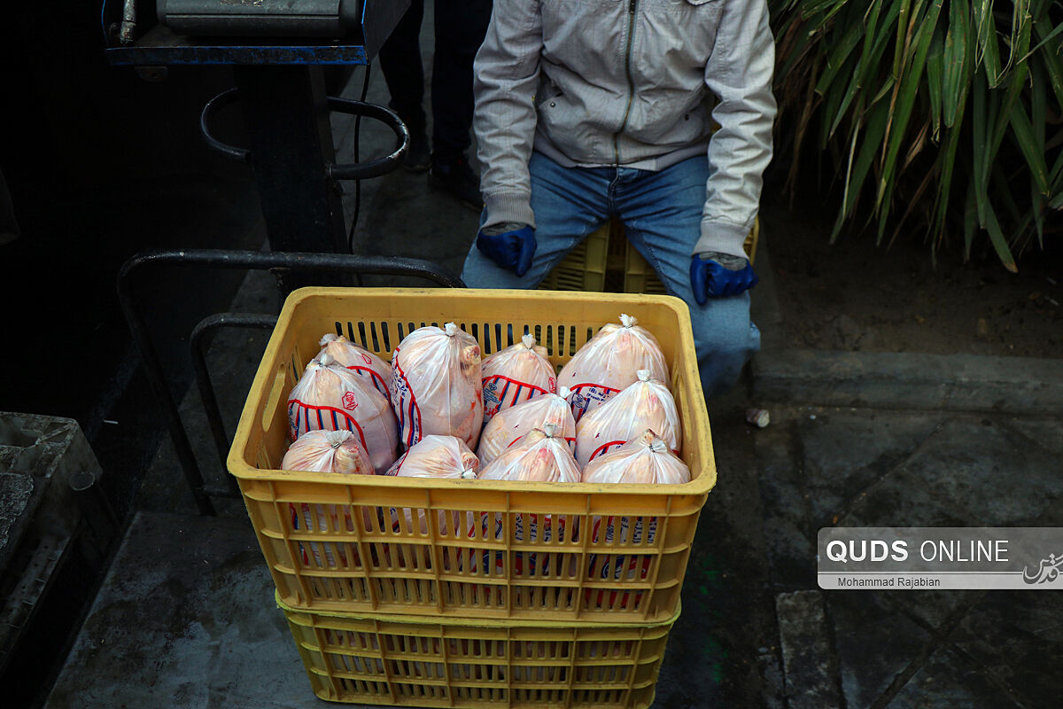  توزیع مرغ گرم با سر در پایتخت سهوی بود