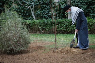 کاشت درخت توسط رهبر انقلاب