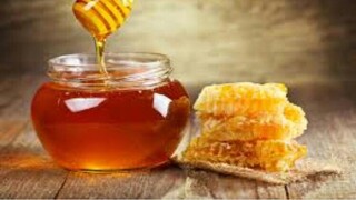 بزرگترین واحد فرآوری موم زنبور عسل در کاشمر راه اندازی شد