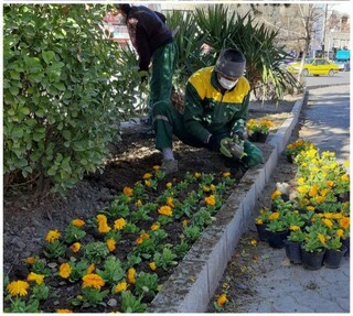 کاشت بیش از ۳ میلیون بوته گل در سطح شهر همدان برای استقبال از بهار