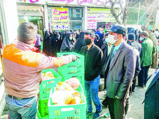 استانداری تهران: هیچ صفی برای خرید مرغ وجود ندارد
