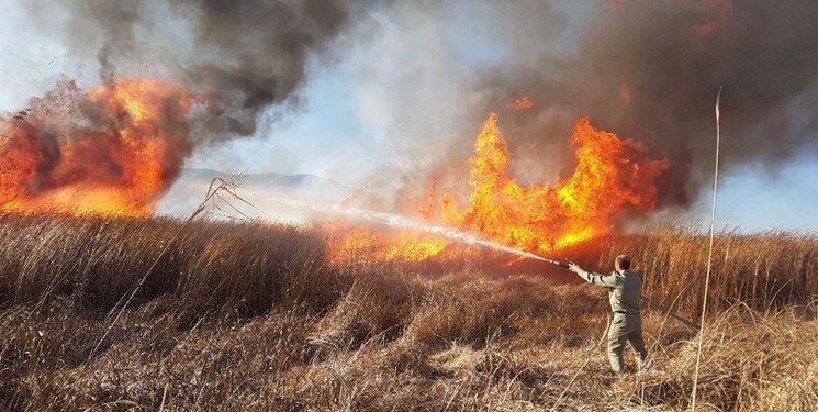 بی احتیاطی گردشگران ۲هکتار از سایت پرورش آهو تربت‌جام را طعمه آتش کرد