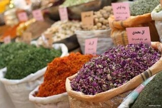 تولید یک‌هزار تن بذر گیاهان دارویی در آذربایجان‌شرقی