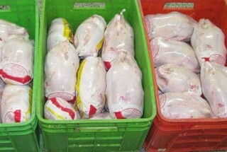 روند حجم عرضه گوشت مرغ در خراسان رضوی به سوی فراوانی است