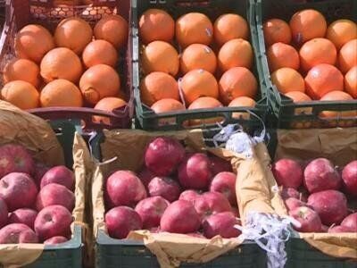 همه میوه تنظیم بازار نوروزی در خراسان رضوی به فروش رسید