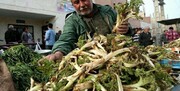 گیاهان دارویی معیشت روستائیان را مرهم می‌گذارد