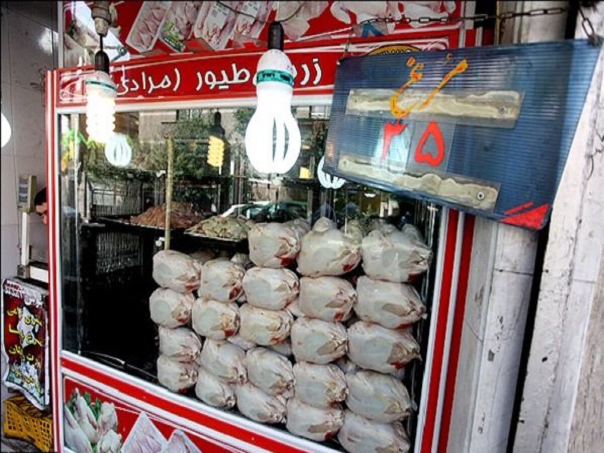 ۲۵۴ پرونده تخلف مرتبط با فروش گوشت مرغ در خراسان‌ رضوی تشکیل شد