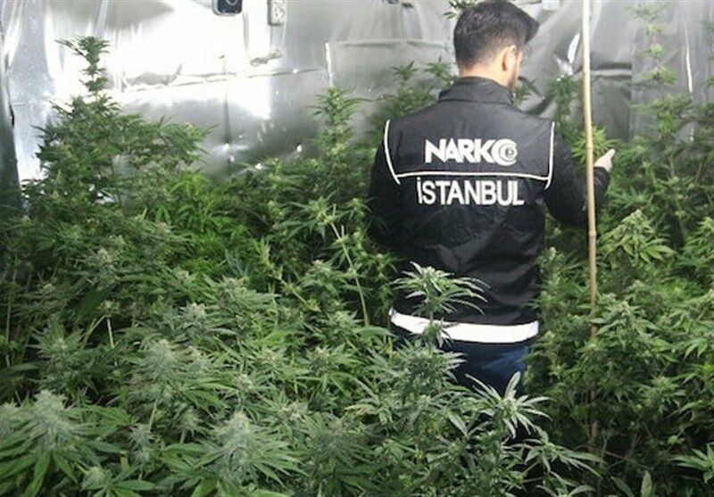استانبول دومین و آدانا سومین شهر پرمصرف مواد مخدر جهان