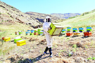تولید عسل