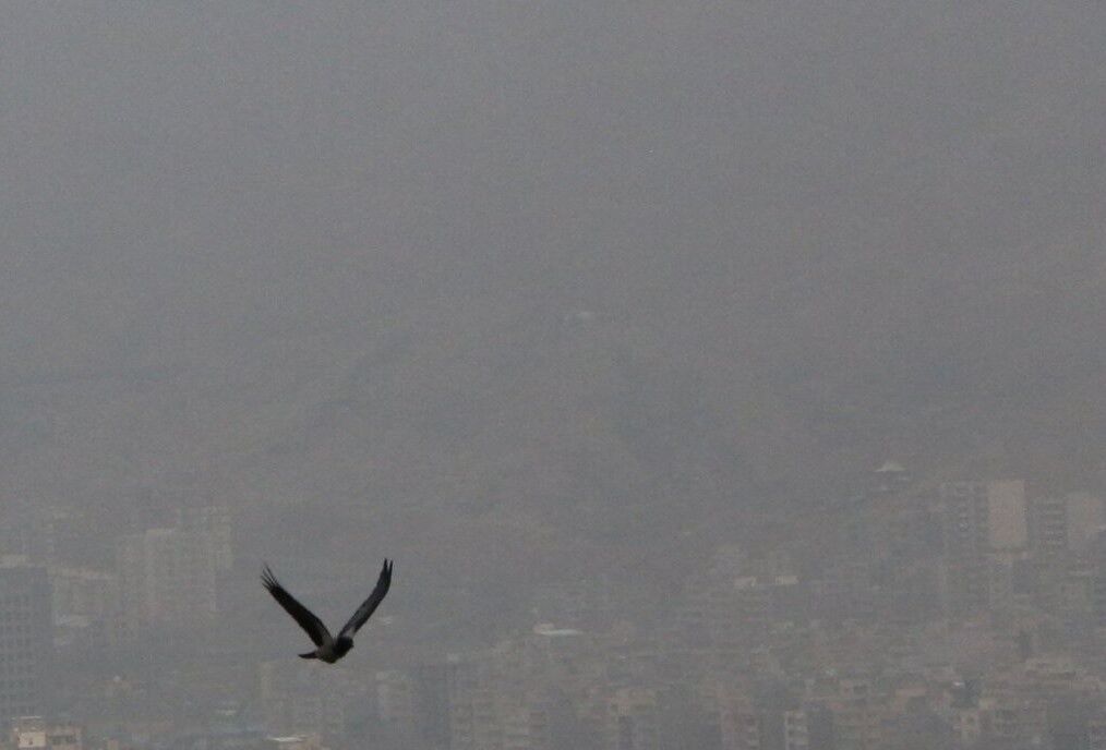 هوای ۶ منطقه کلانشهر مشهد در وضعیت هشدار قرار گرفت