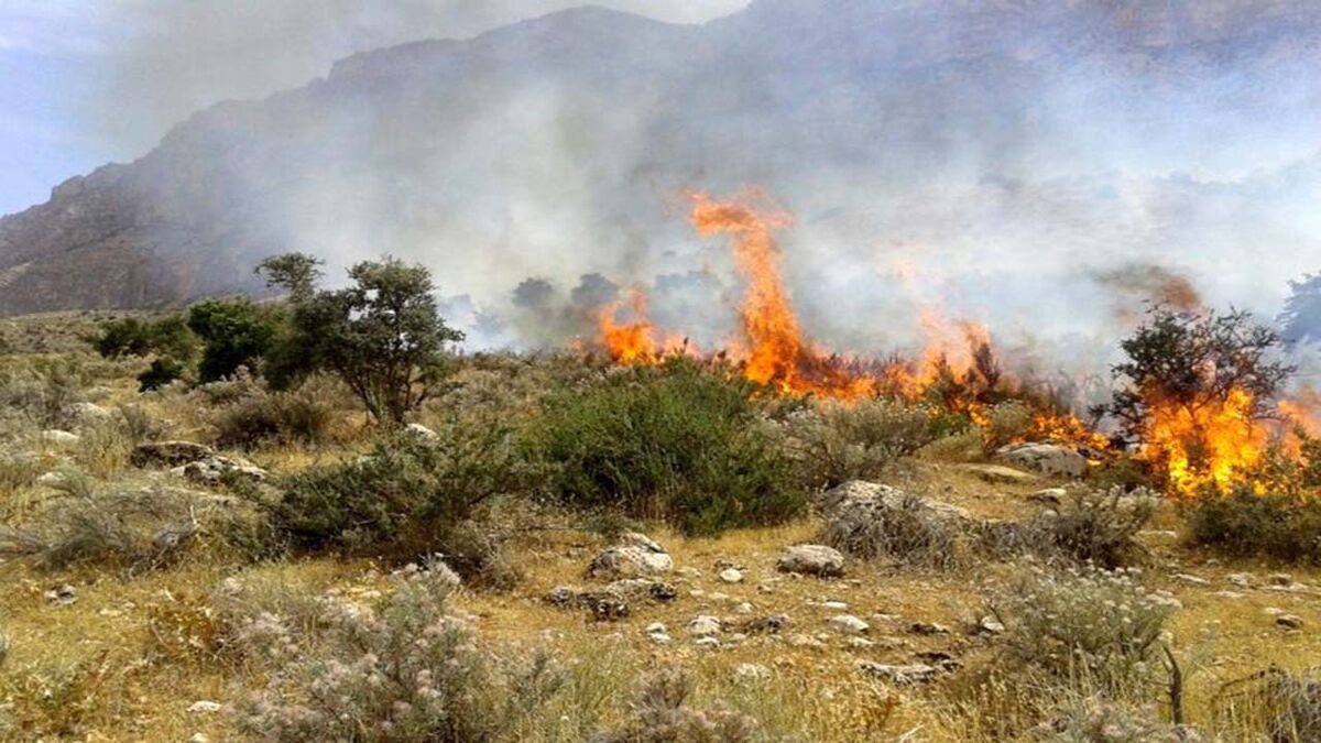 ۱۰ هکتار از پارک ملی بموی شیراز در آتش سوخت