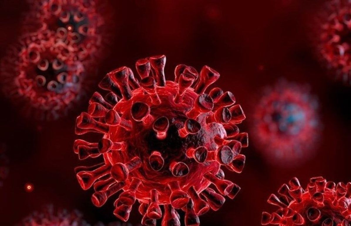خطر اوج‌گیری شیوع ویروس کرونای هندی در خراسان رضوی