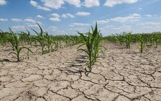 تداوم خشکسالی تامین آب مشهد را تهدید می‌کند  