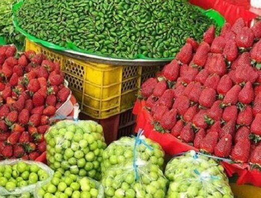 گرانترین میوه های فصل/زردآلو کیلویی ٩٠ هزار تومان
