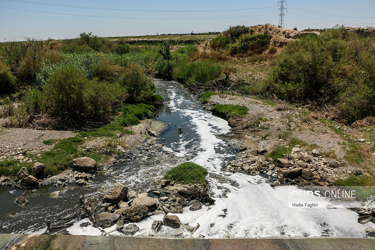 شوری آب به باغ گیاه‌شناسی مشهد رسید/ چاه‌های مجاز هم غیر مجاز هستند؟! 