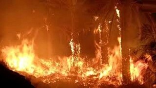هولناک‌ترین آتش سوزی‌های تاریخ به روایت تصویر
