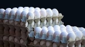 توقیف 26 تن تخم مرغ قاچاق در مرز باشماق مریوان
