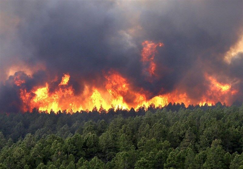  وقوع آتش‌سوزی در ۱۲۷۹ هکتار از مناطق چهارگانه محیط زیست تا اول خرداد 