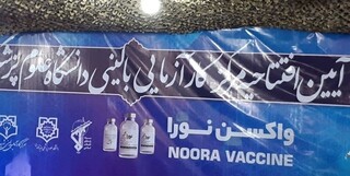  جزئیات تولید واکسن ایرانی کرونای «نورا»/تولید ماهانه ۳ میلیون دُز واکسن 