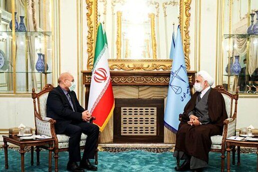 رئیس مجلس با حجت الاسلام محسنی اژه‌ای دیدار کرد
