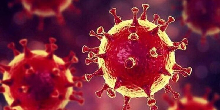 ویروس کرونای هندی در مشهد به سرعت در حال چرخش است
