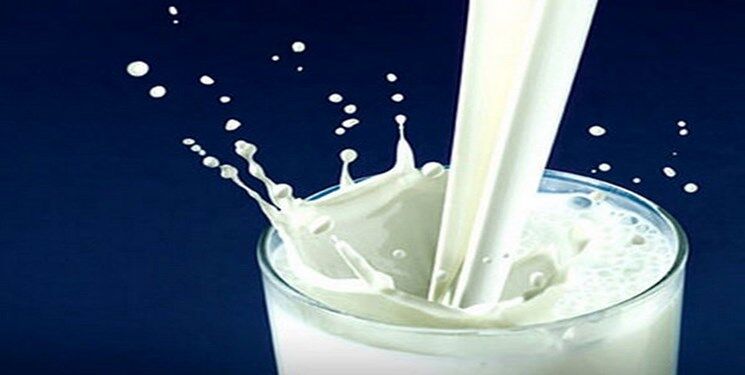 عرضه شیر به قیمت کیلویی ۸۰  هزار ریال  غیرقانونی است