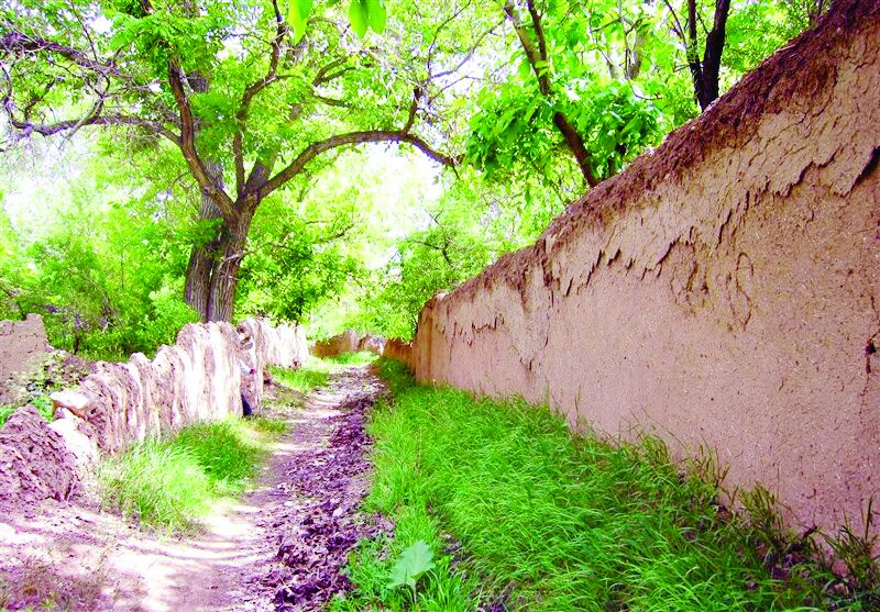  ۸۰۰ سال نشستن پای سفره امام رضا(ع)