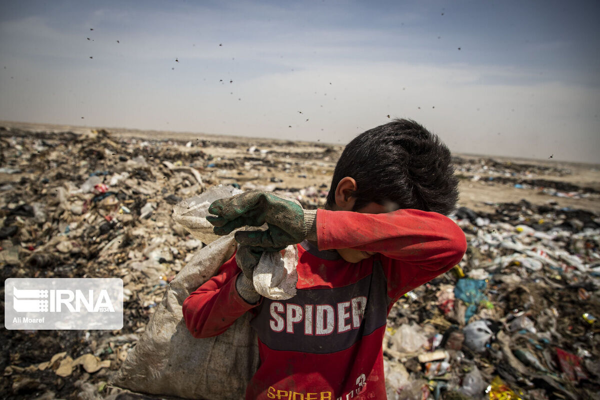 رئیس سازمان بهزیستی: زباله‌گردی کودکان را پیگیری می‌کنیم