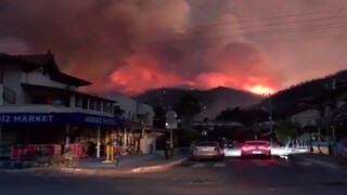 آتش به جان جنگل‌های ترکیه افتاده است / فیلم