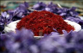 ایران بالاترین مصرف سرانه زعفران را دارد