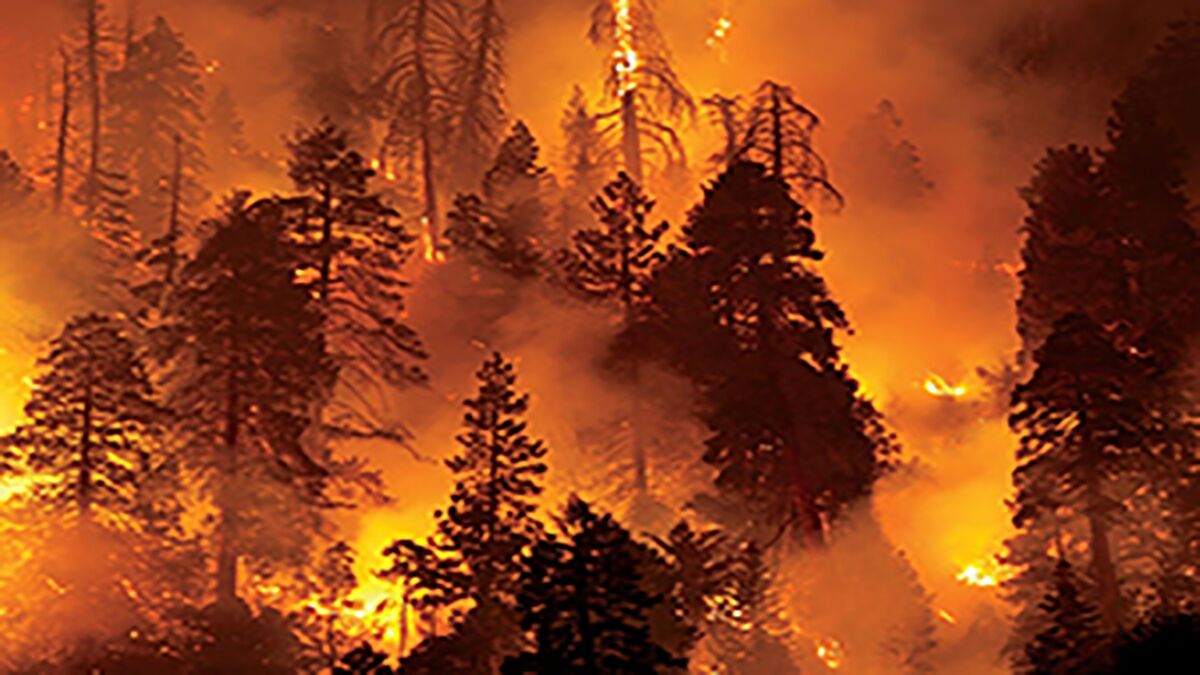 هالیوودی شدن آتش سوزی‌ها در کالیفرنیا / فیلم