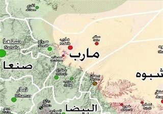 الاخبار: فتح مأرب حتمی است 