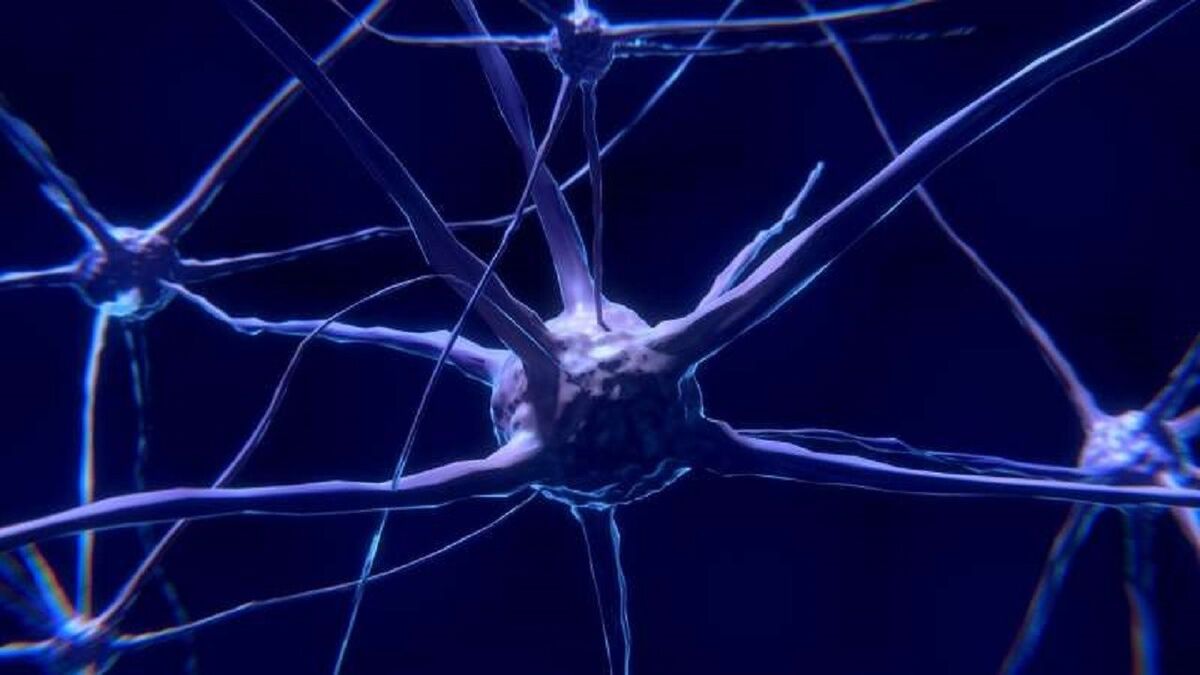 ارتباط نزدیک سیگنال‌های حافظه مغز با میزان قند خون