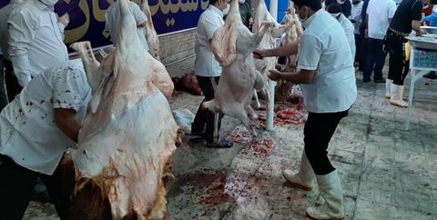 اجرای طرح ساماندهی کشتار دام در استان بوشهر