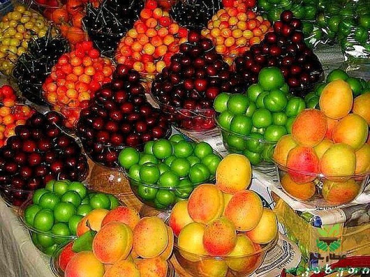 قیمت میوه در بازار مشهد روند نزولی دارد