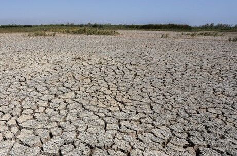 خشک شدن ۴ درصد "هورالعظیم" در ۵ روز گذشته / مرگ و میر نگران‌کننده آبزیان
