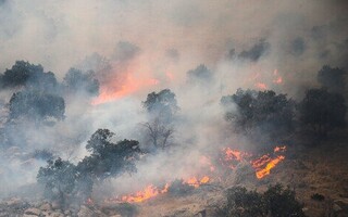 گرما و افزایش خطر آتش‌سوزی در عرصه‌های منابع طبیعی گلستان