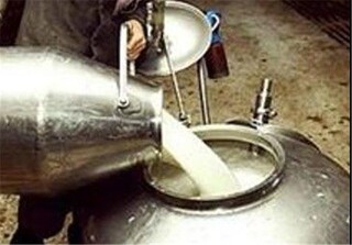  جهاد کشاورزی اصفهان تا ۳ روز آینده مکلف به تعیین نرخ شیرخام شد