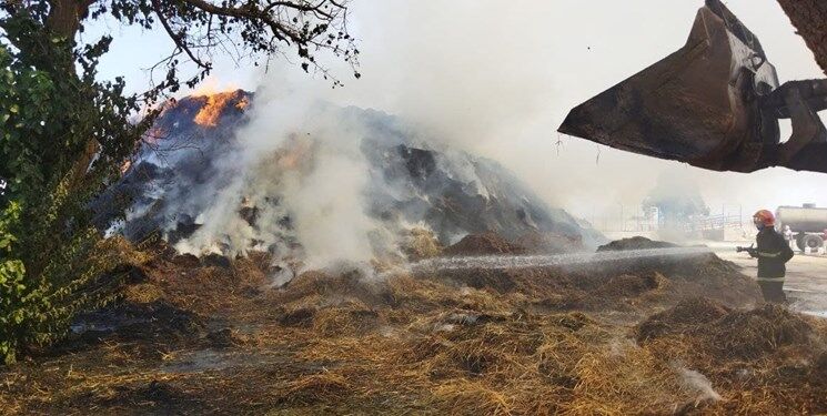 آتش‌سوزی در بزرگترین مجتمع دامداری نیشابور /آخرین خبر از تلفات جانی این آتش سوزی 