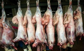 ۷۵ تن گوشت غیرقابل مصرف در خراسان رضوی معدوم شد