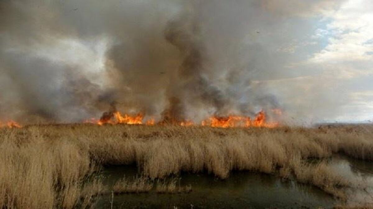 آتش سوزی در بخش عراقی هورالعظیم / انتشار دود در شهر رُفیع
