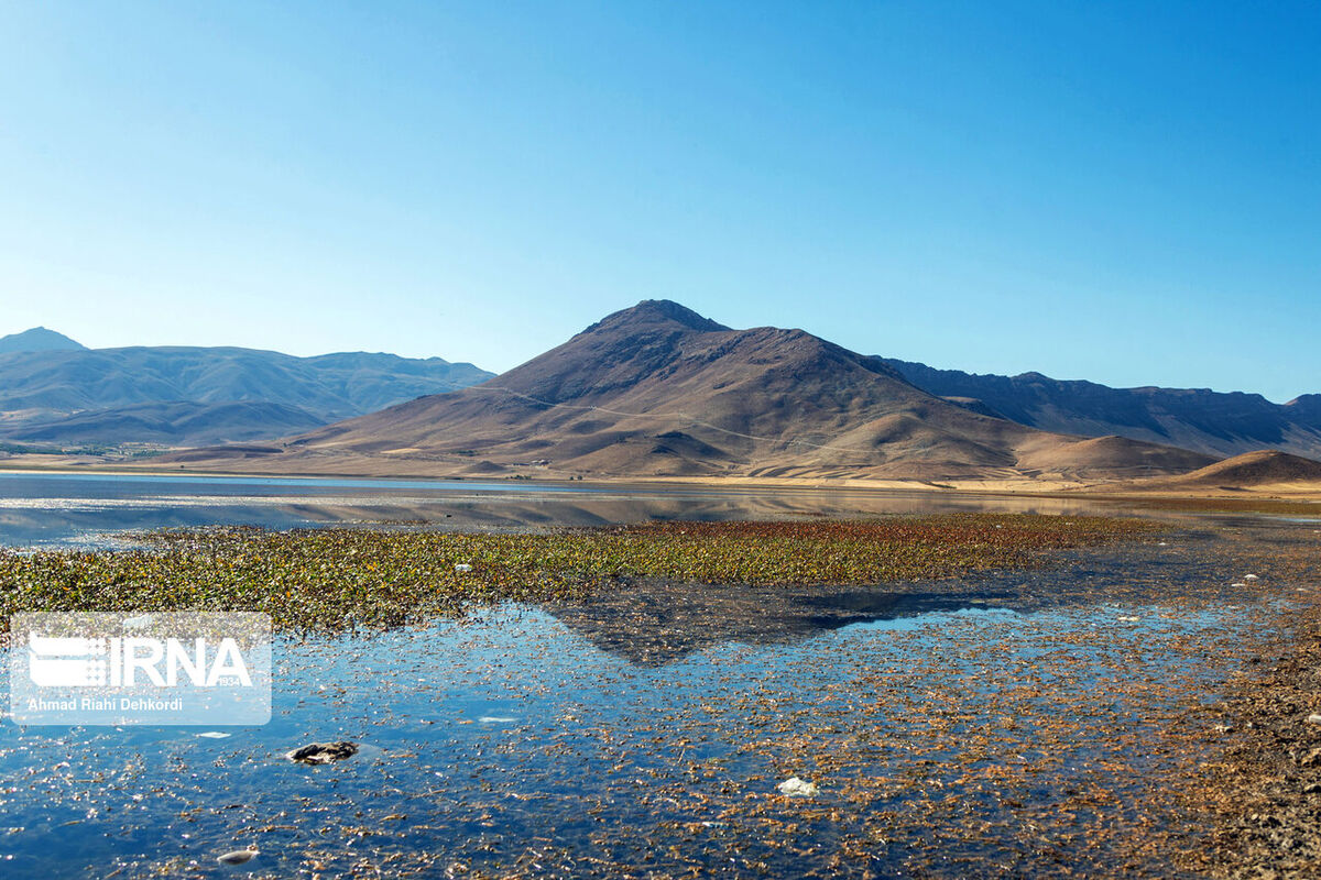 دستاوردهای دریاچه ارومیه در راه تالاب بختگان