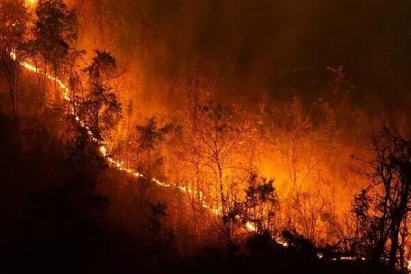 هزاران نفر به دلیل آتش‌سوزی‌های دامنه‌دار در اروپا تخلیه شدند