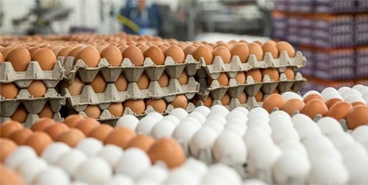واردات تخم‌مرغ نطفه‌دار برای حل مشکل بازار مرغ