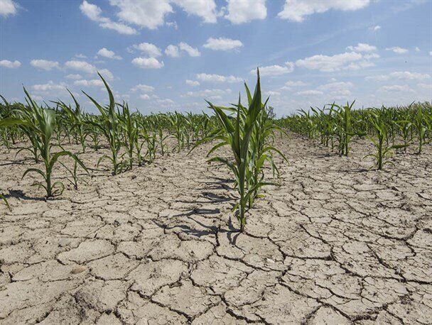 بخش کشاورزی ۹۳ درصد آب استحصالی بردسکن را مصرف می‎کند