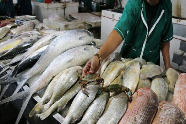 میزان خرید گوشت ماهی در خراسان شمالی به یک سوم کاهش یافت
